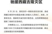 比亚迪捐赠1000万元驰援西藏吉隆灾区